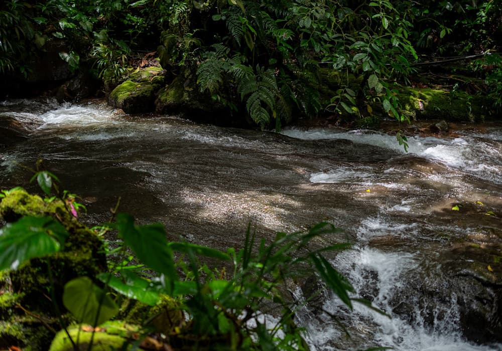 Waterfall Colorado River