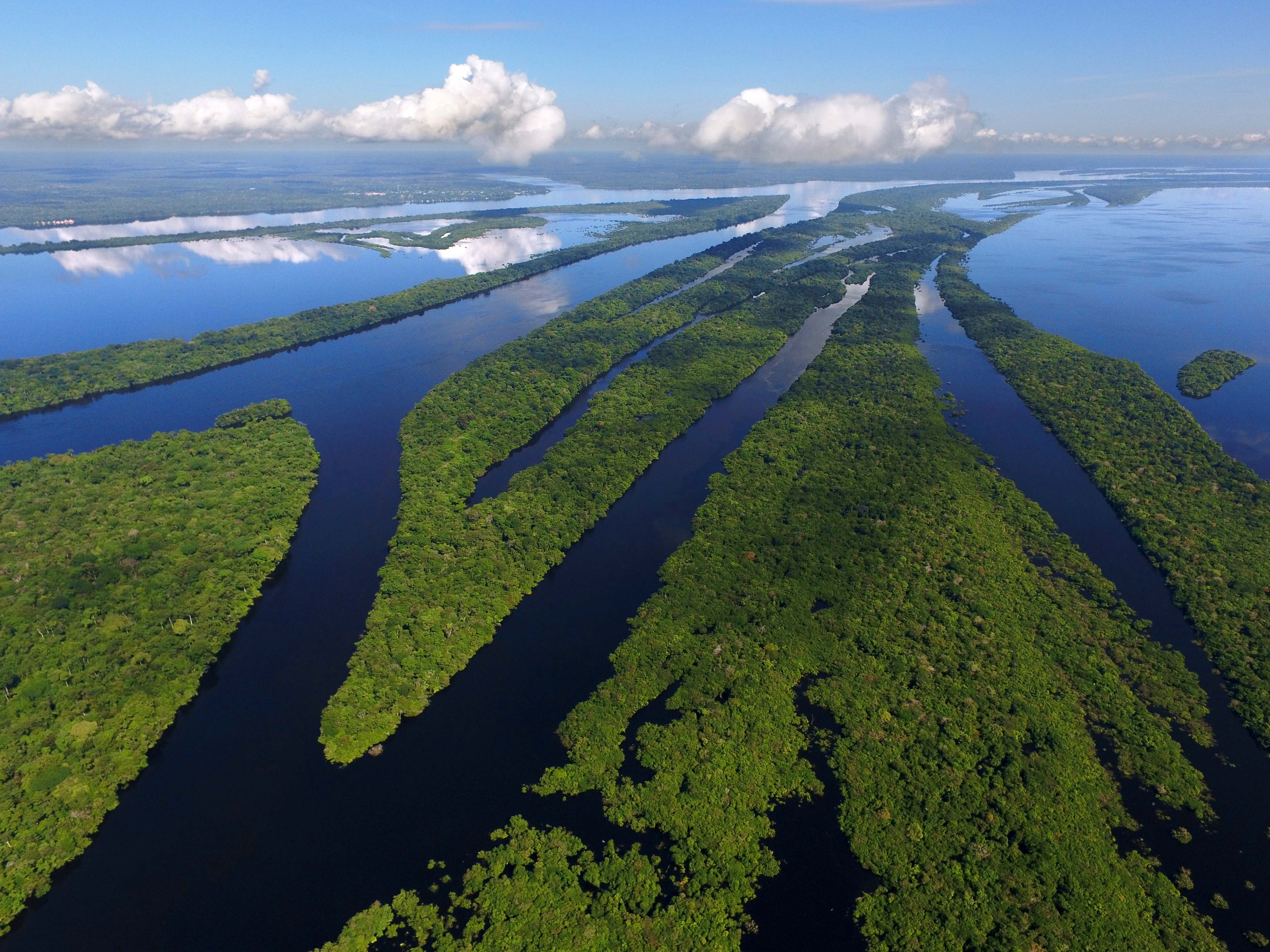 AMAZON RIVER