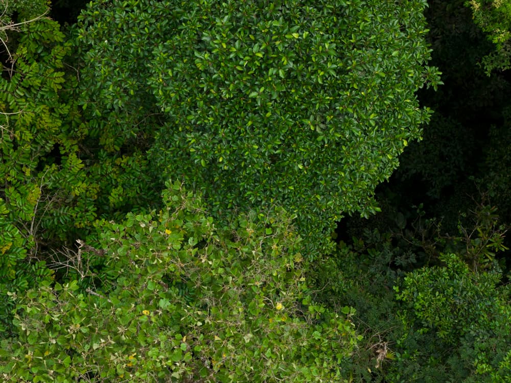 Image seccion inferior Pagina