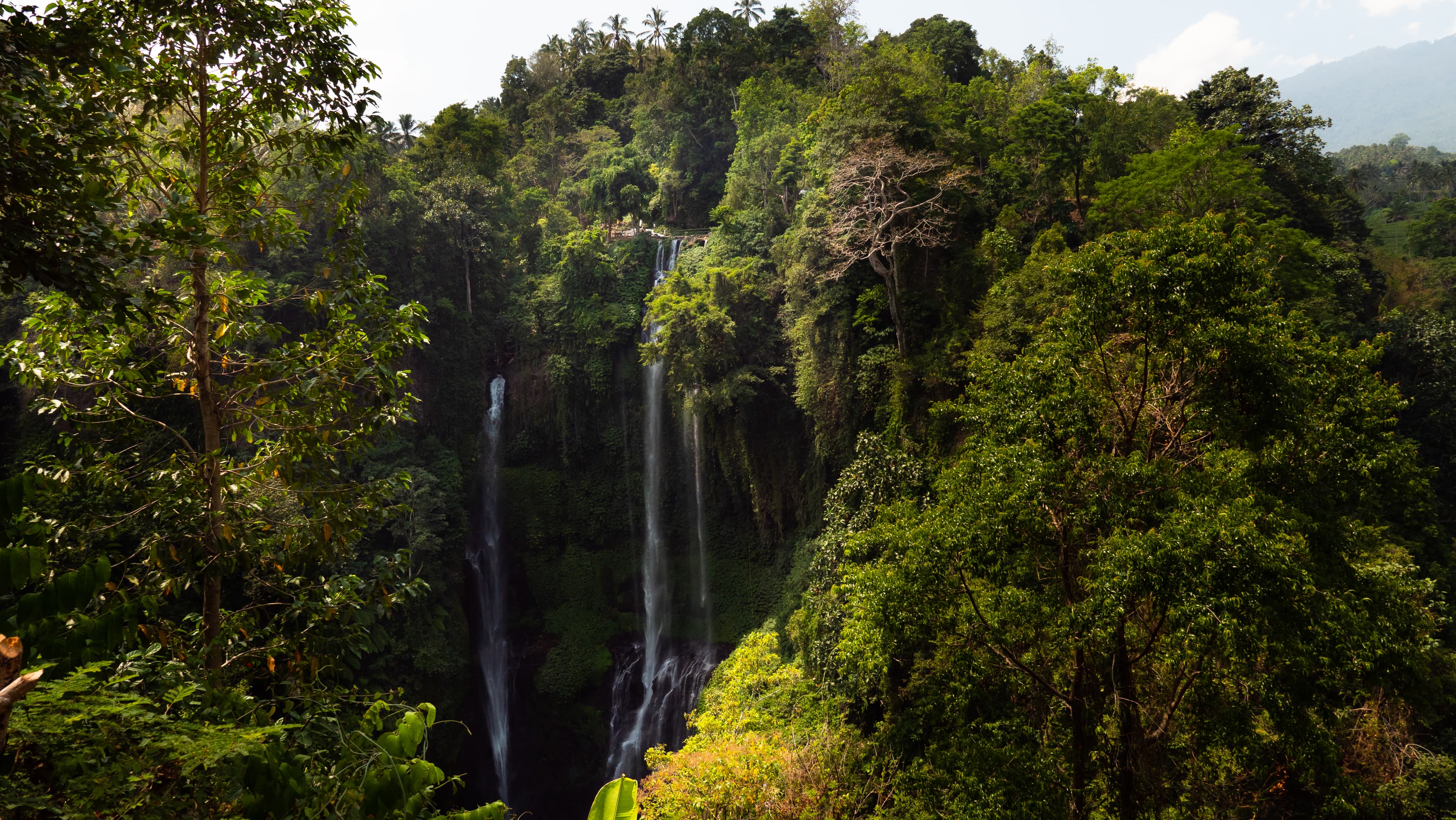 CASCADA SELVA