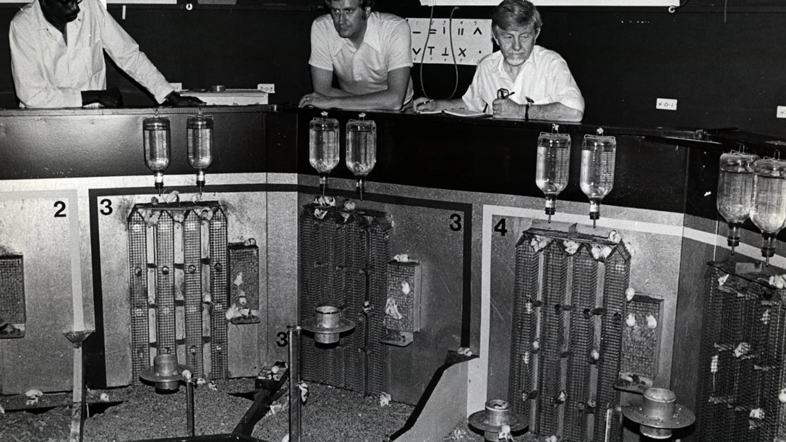 Scientists Responsible for Universe 25