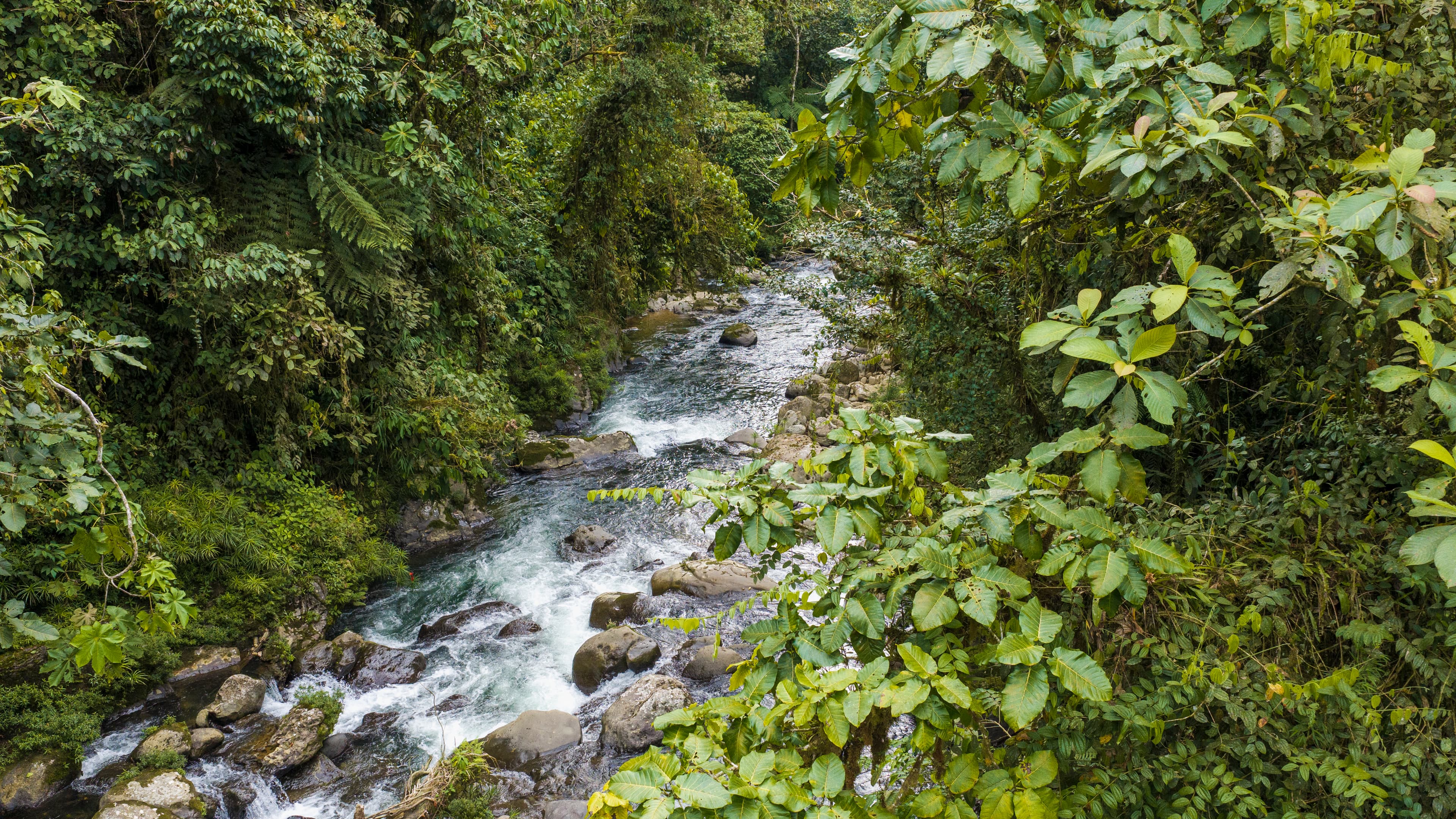 EDEN ORIGO16