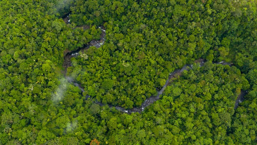 Article Front Page Legacy that Transcends Time and Matter