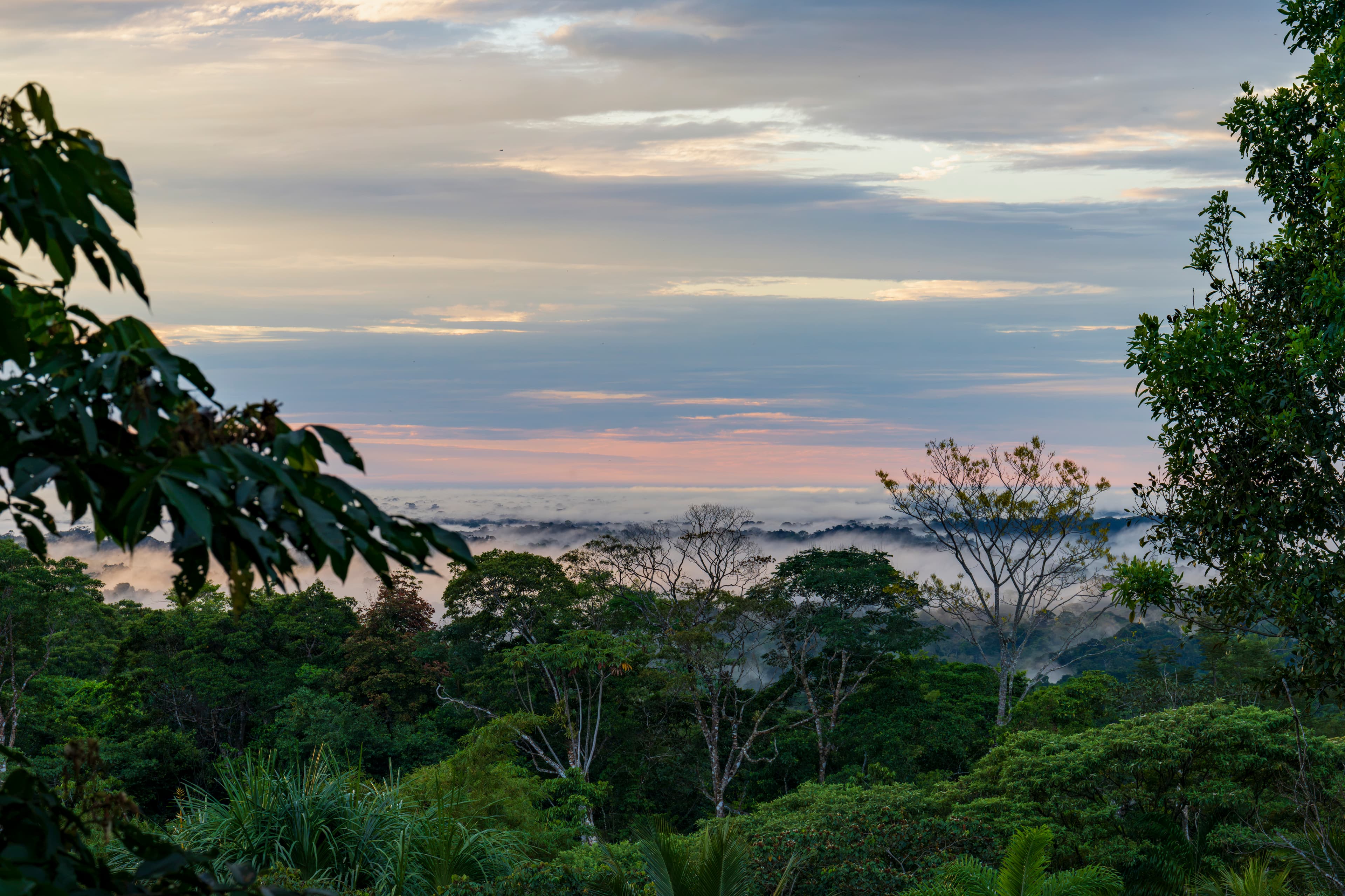 EDEN ORIGO PROPERTY