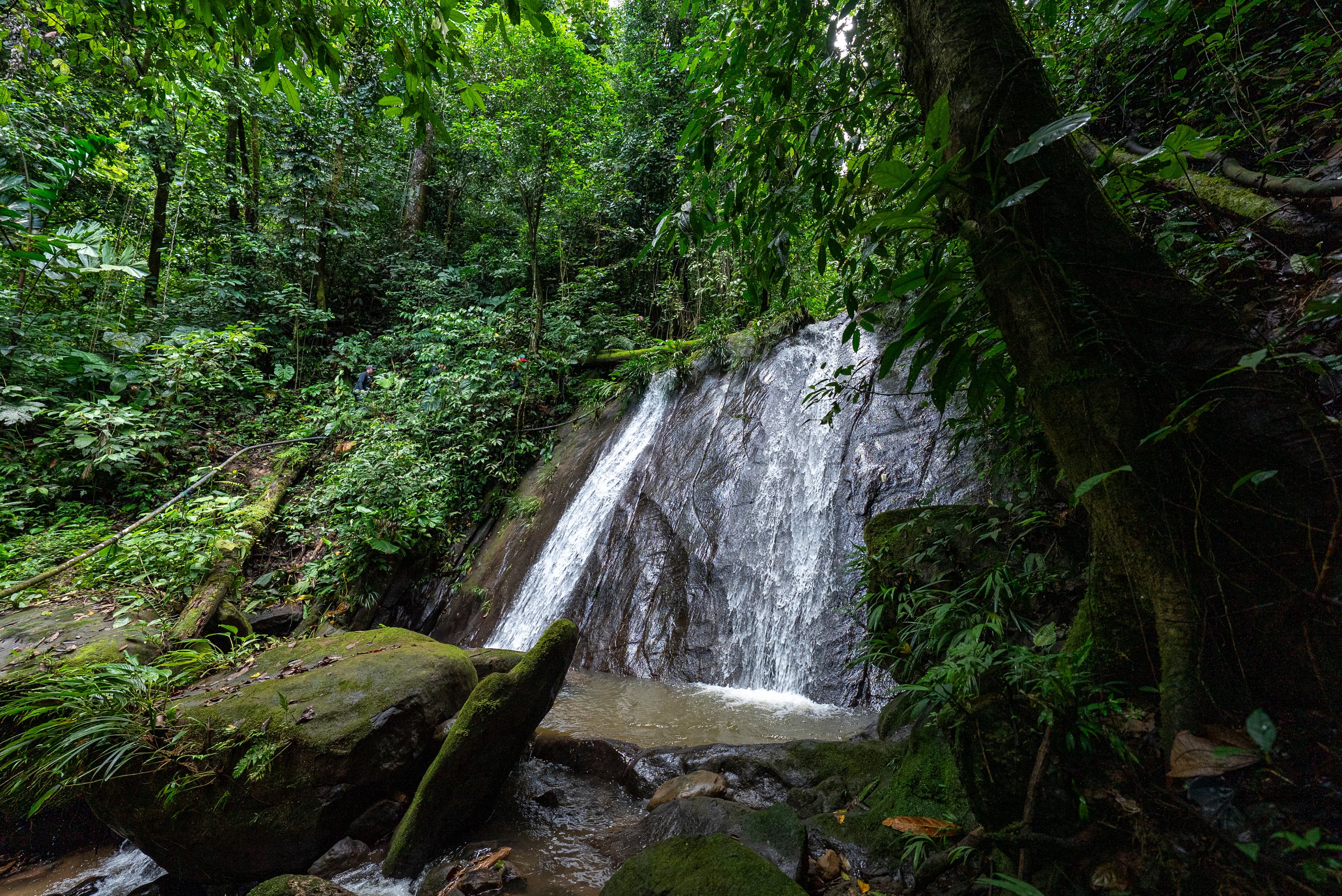 Propiety Number 1 Photo