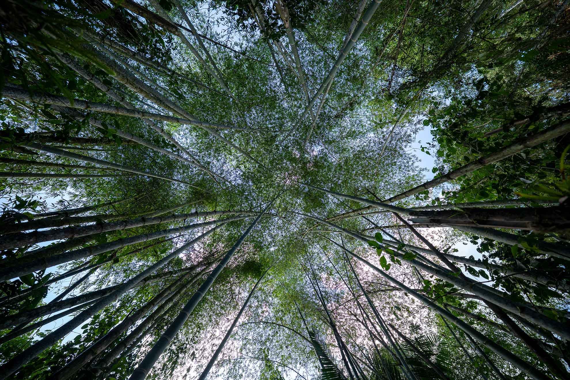 Portrait Insuarce Photo From Page