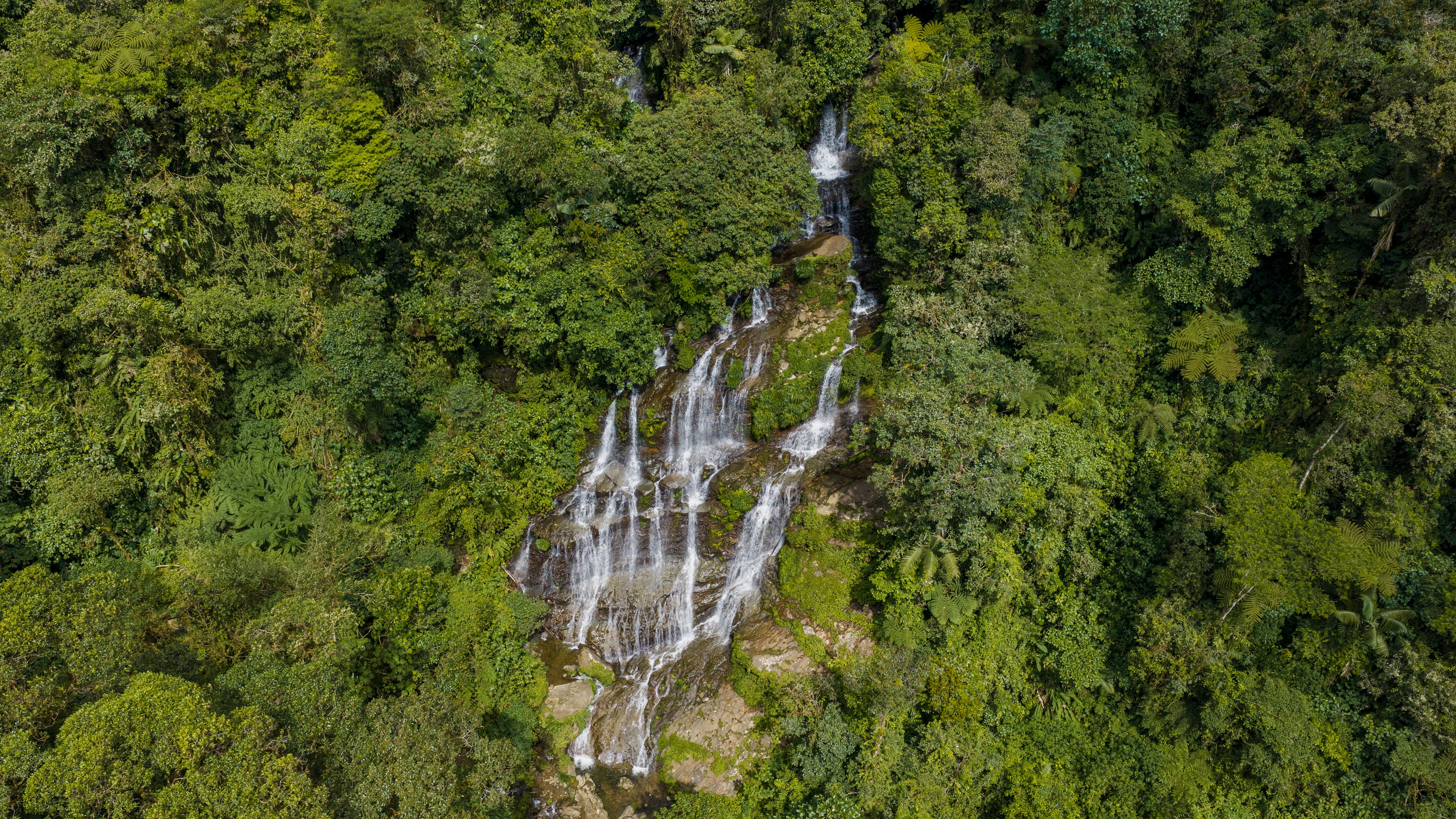 EDEN ORIGO18